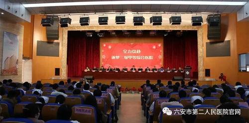 石家庄二院爆料新闻,揭秘医院内部惊人真相  第1张